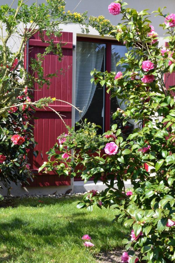 Le Tertre Gatinais Bed & Breakfast Saint-Briac-sur-Mer Ngoại thất bức ảnh